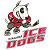 Ice Dogs