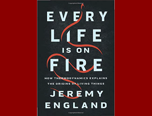 BOOK OF THE MONTH: Every Life Is On Fire: How Thermodynamics Explains the Origins of Living
