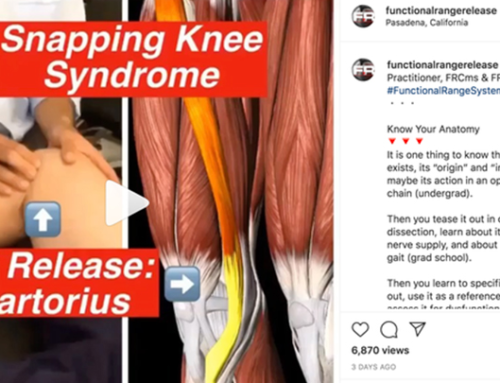 FR: Snapping Knee Syndrome – FR Release Sartorius